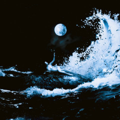 WINNER'S REVENGE (PROD. BY DANTUAN + SU)