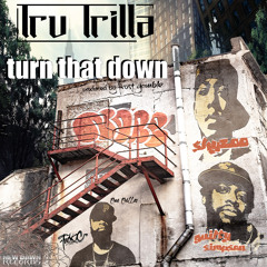 Turn That Down (feat. Frost Gamble, Guilty Simpson & Skyzoo)
