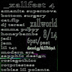 dj rotpriestess @ _xallfest 4 8/14/24