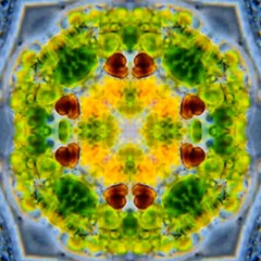 Quantum Sonics - Alex Wolfenden - 14th August 2021