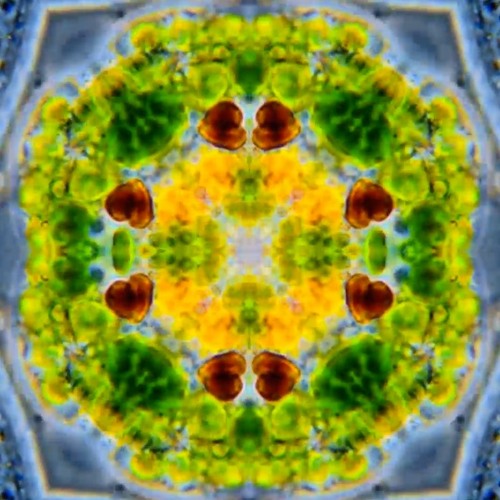 Quantum Sonics - Alex Wolfenden - 14th August 2021