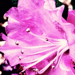 Burn The Rain [Kurt Cobain full band cover]