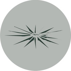 B1. Aedis - Station | Spectral Bounce