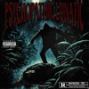 Descargar video: Psychopathic Lunatic