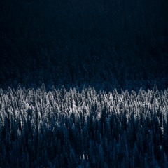 Snow is Falling (prod. Rizi)