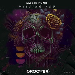 Magic Funk - Missing You