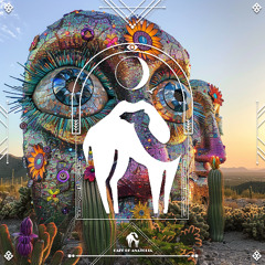 Want It - Anthony Bassoulou & Josho