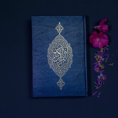 مصحف الحدر بصوت الشيخ نصر الدين عصام-حفظه الله- برواية حفص عن عاصم