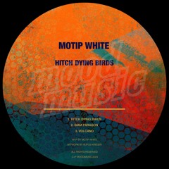 PREMIERE: Motip White - Hitch Dying Birds (Original Mix) [Moodmusic Records]