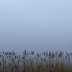 Martin Jarl - Silent Storms