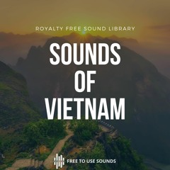 Sounds Of Vietnam Sound Compilation