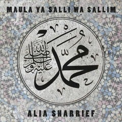Maula Ya Salli - Sami Yusuf ft. Qasida Burda Shareef ( Slowed _ Reverb)
