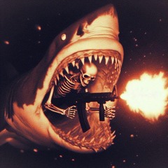 SharkLife COBE PROD:TrakkHead