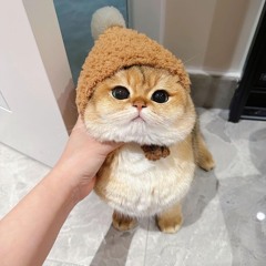 Đừng Hỏi Ngày Trở Về - S.Chapo