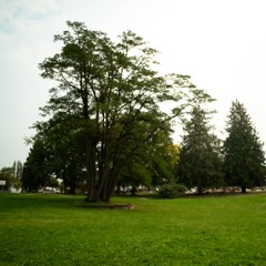 i almost lost myself