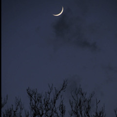 Sky full of stars