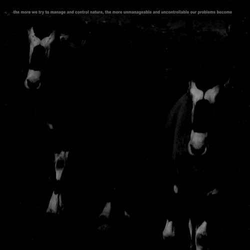 grateful (xcerpt) off new 7" on Archaetecture