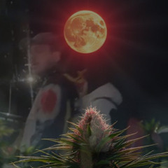 What was I doing? Ft. Dom Turbo