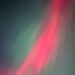 MOTOROLLA  KARLOS X FOMO