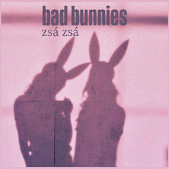bad bunnies - Zsá Zsá / Tekk Remix 186 BPM