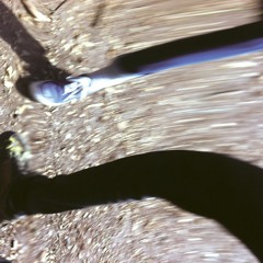 SONG FOR MARLA AND LUCAS