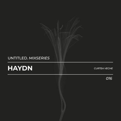 Untitled Musica Series 016 - Haydn (Curtea Veche)