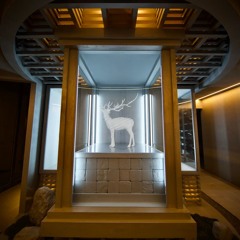 AOYAMAARIKI 2025SUMMER PLAYLIST