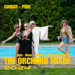 Jane and Sharon Pool and Barn Sun