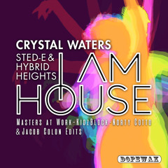 I Am House (Radio Edit)