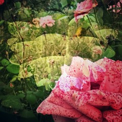 All Is Love Party 432Hz (21-09-25)