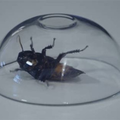 M.John - Frust (original mix)FREE DOWNLOAD