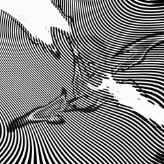 PREMIERE : Body Copy - Ptero