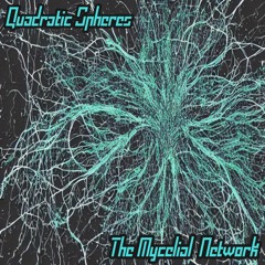 The Mycelial Network
