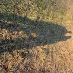 man on the moon (happiest with you)