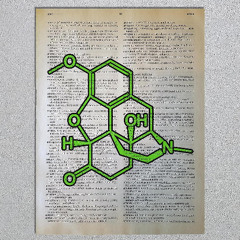 OXYCODONE (prod by DaLord)