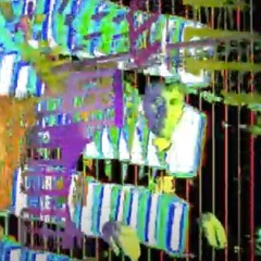 Niklas Wandt - Heads Radio 163 – 19.02.25