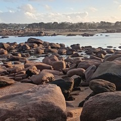 Julie' strawberry - non mixé.mp3