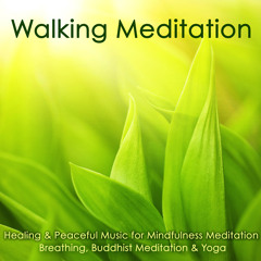 Walking Meditation (Time for You)