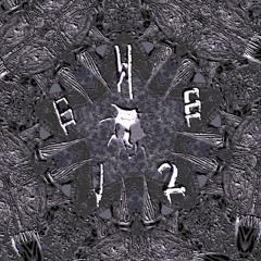 EwE #12