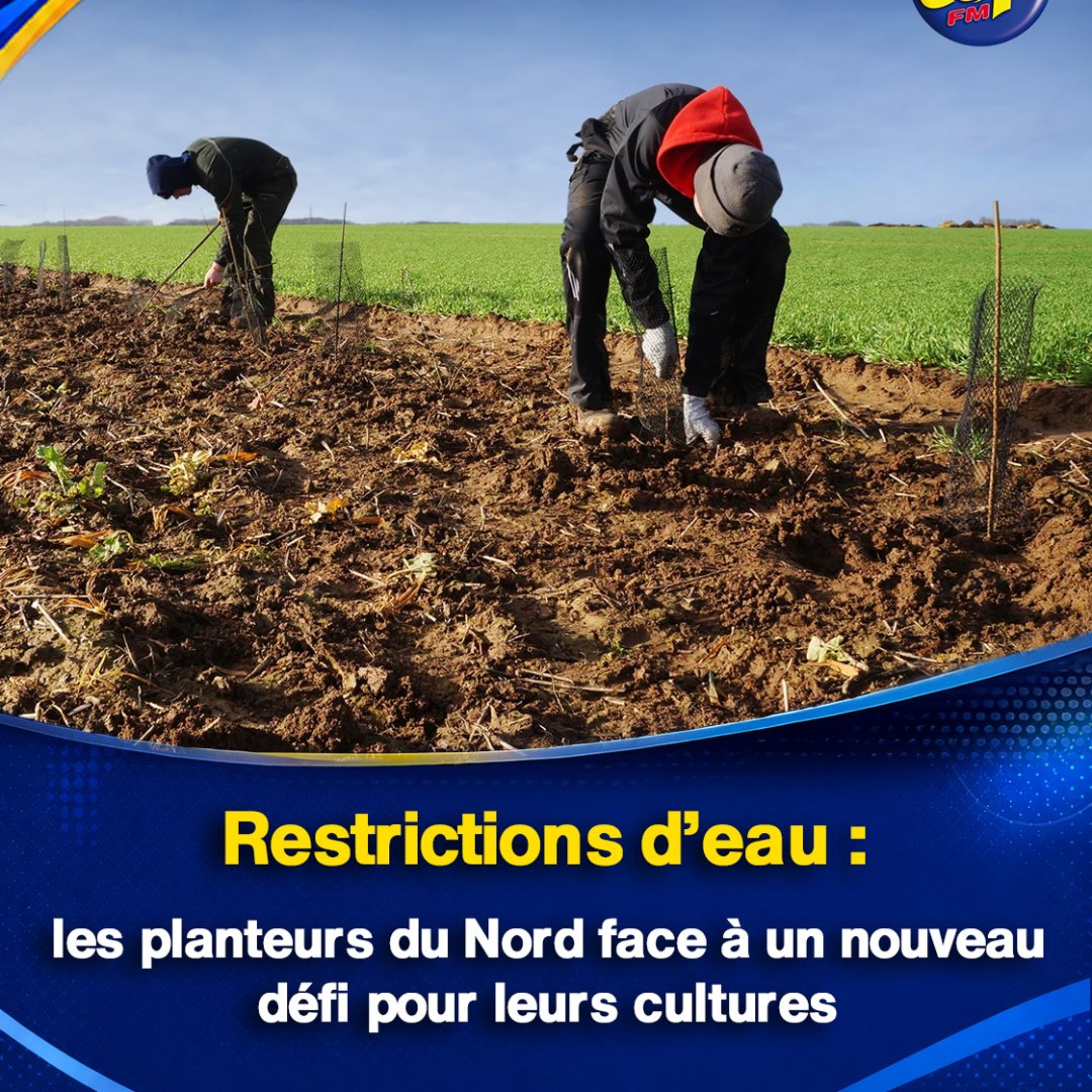 Restrictions d’eau : les planteurs du Nord face à un nouveau défi pour leurs cultures episode artwork