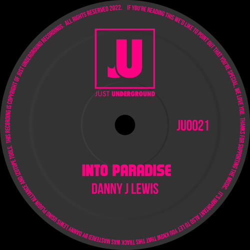 Stream Danny J Lewis - Into Paradise (Radio Edit) by Danny J Lewis | Listen  online for free on SoundCloud