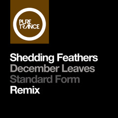 December Leaves (Standard Form Remix)