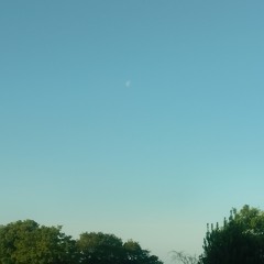 Day Moon