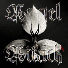 [PREMIERE] Angel Attack - Come To Me [HOFRISLP01]