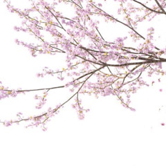 Messing around-ft seven(p.Silo)