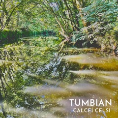 Calcei Celsi (Original Mix)