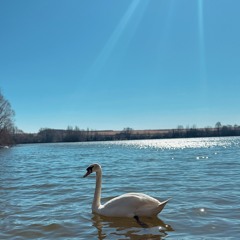 MAIS SUMMER MIX: 2025