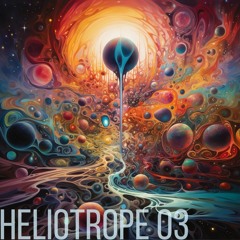 Heliotrope 03