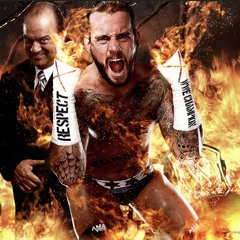 Cm punk stunt