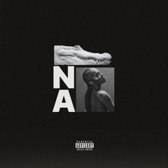 NSN/ALT